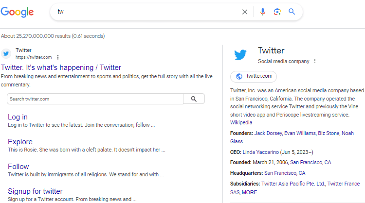 Image showing Google result for just the letters “tw”