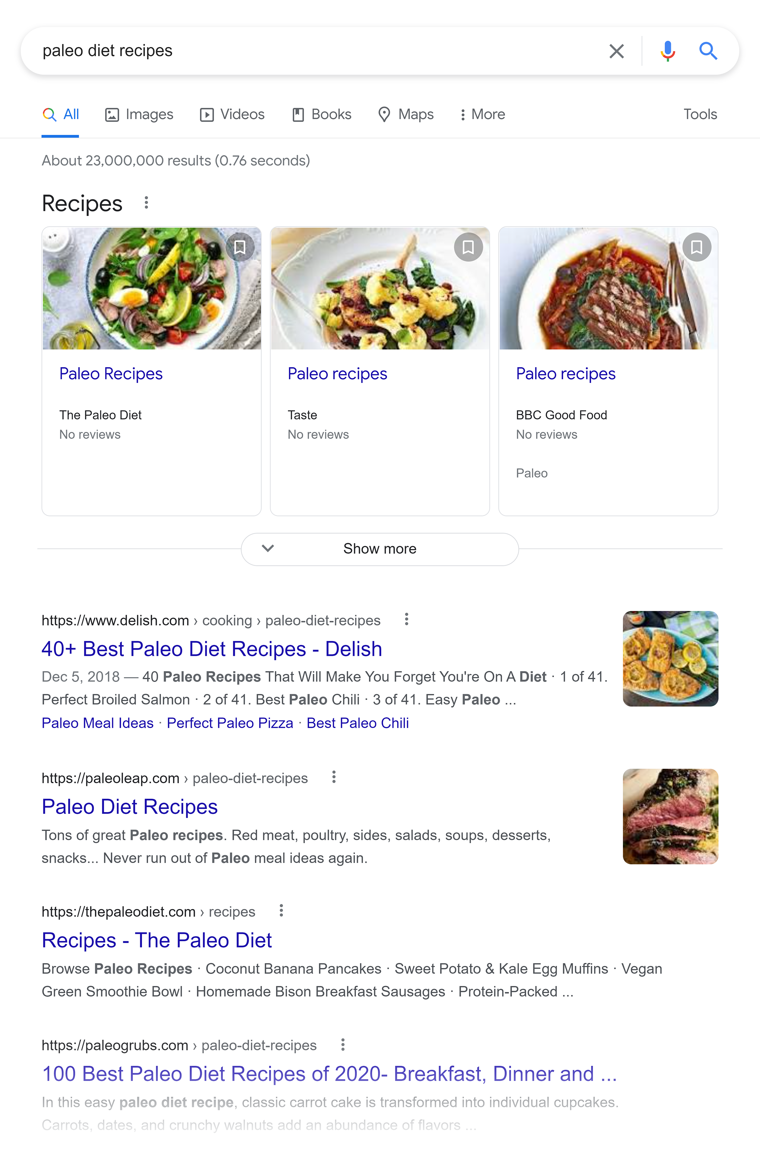 Google SERP – Paleo diet recipes